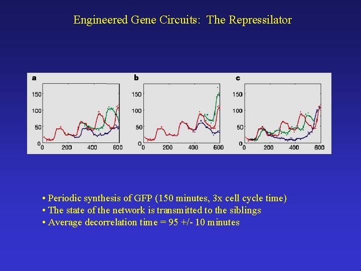 Engineered Gene Circuits: The Repressilator • Periodic synthesis of GFP (150 minutes, 3 x