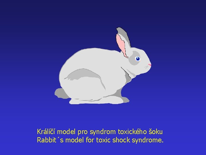Králíčí model pro syndrom toxického šoku Rabbit´s model for toxic shock syndrome. 