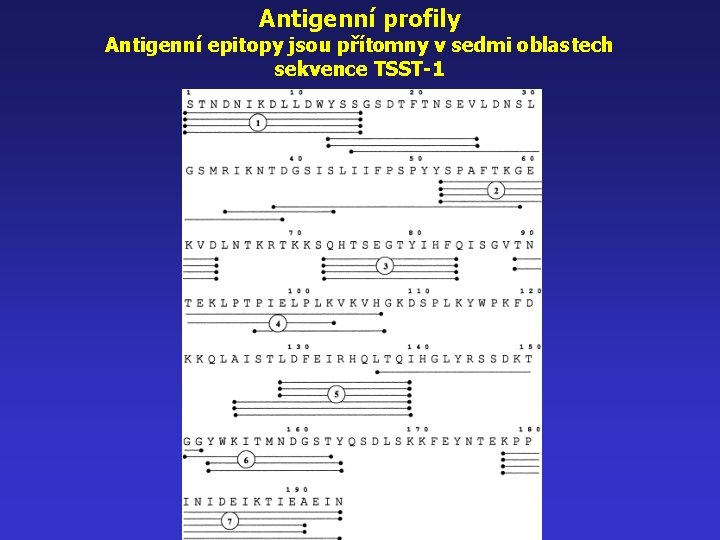 Antigenní profily Antigenní epitopy jsou přítomny v sedmi oblastech sekvence TSST-1 