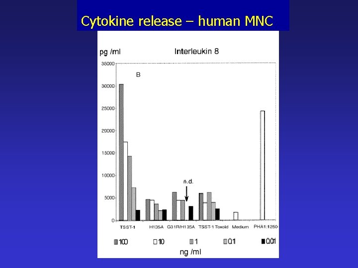 Cytokine release – human MNC 