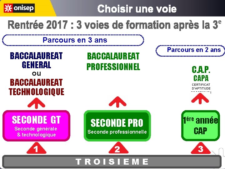 e Parcours en 3 ans BACCALAUREAT GENERAL ou BACCALAUREAT PROFESSIONNEL C. A. P. CAPA