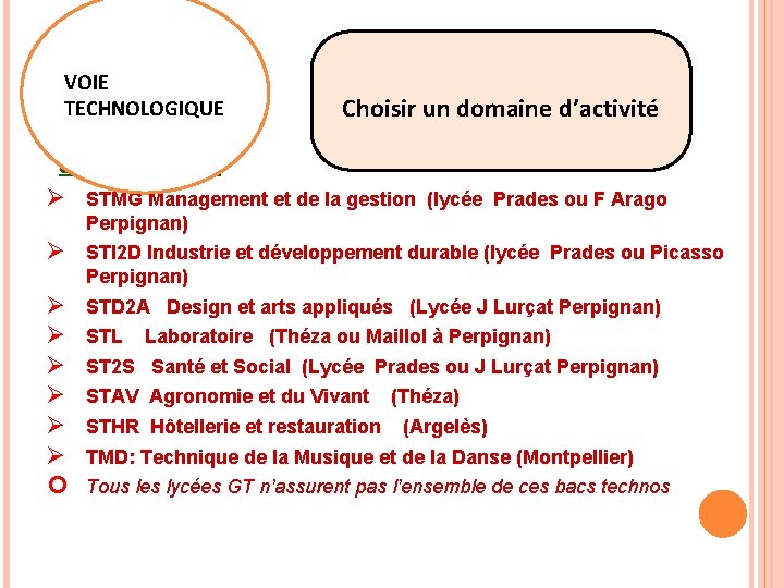 VOIE TECHNOLOGIQUE Choisir un domaine d’activité 8 Bacs Ø STMG Management et de la