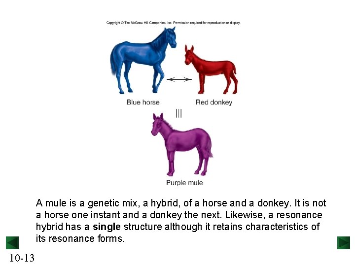 A mule is a genetic mix, a hybrid, of a horse and a donkey.