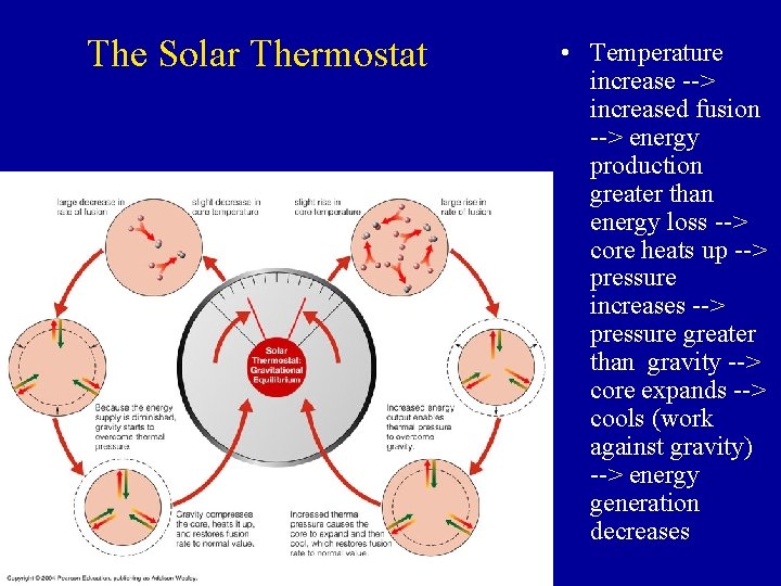 The Solar Thermostat • Temperature increase --> increased fusion --> energy production greater than
