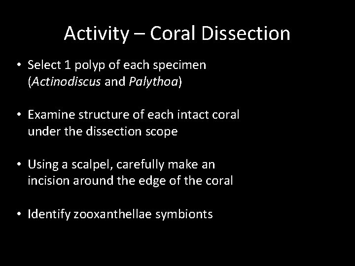 Activity – Coral Dissection • Select 1 polyp of each specimen (Actinodiscus and Palythoa)