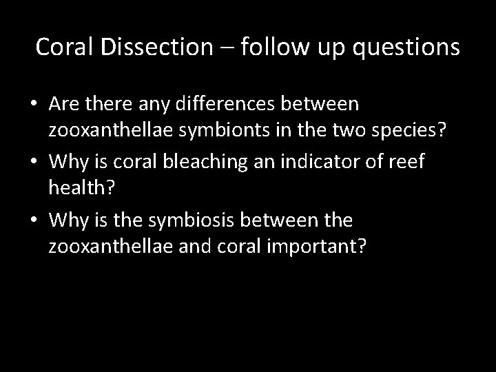 Coral Dissection – follow up questions • Are there any differences between zooxanthellae symbionts
