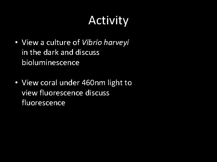 Activity • View a culture of Vibrio harveyi in the dark and discuss bioluminescence