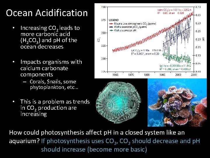 Ocean Acidification • Increasing CO 2 leads to more carbonic acid (H 2 CO