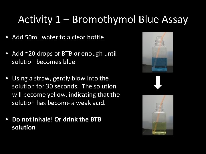 Activity 1 – Bromothymol Blue Assay • Add 50 m. L water to a