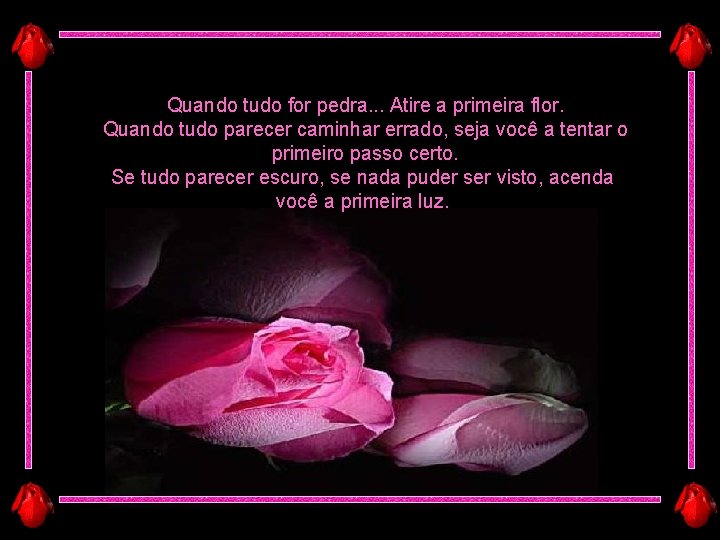 Quando tudo for pedra. . . Atire a primeira flor. Quando tudo parecer caminhar Quando tudo for pedra. . . Atire a primeira flor. Quando tudo parecer caminhar