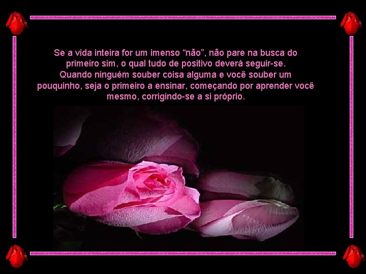 Se a vida inteira for um imenso “não”, não pare na busca do primeiro Se a vida inteira for um imenso “não”, não pare na busca do primeiro
