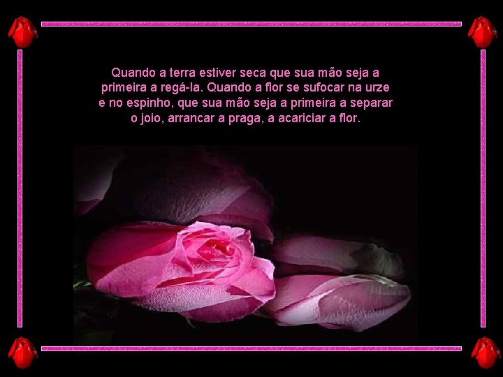 Quando a terra estiver seca que sua mão seja a primeira a regá-la. Quando Quando a terra estiver seca que sua mão seja a primeira a regá-la. Quando