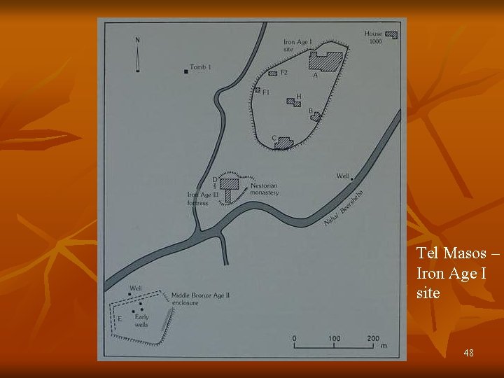 Tel Masos – Iron Age I site 48 