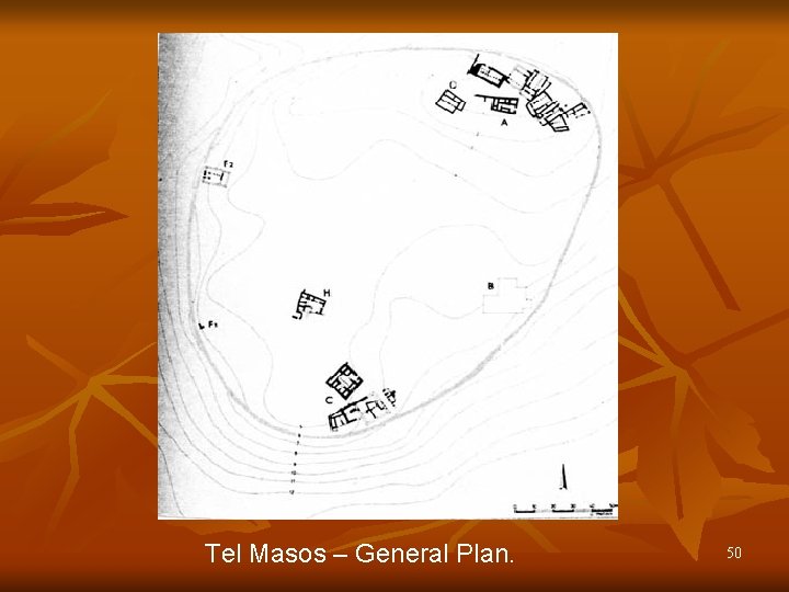 Tel Masos – General Plan. 50 