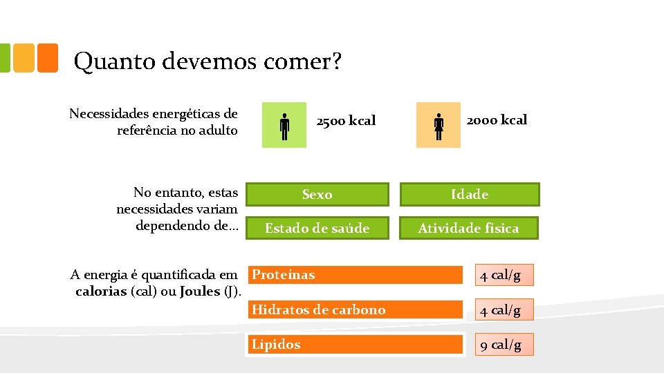 Quanto devemos comer? Necessidades energéticas de referência no adulto No entanto, estas necessidades variam