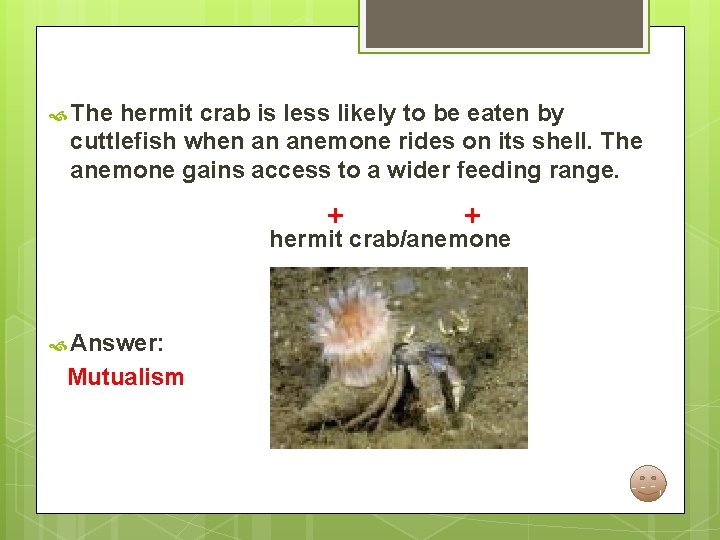  The hermit crab is less likely to be eaten by cuttlefish when an
