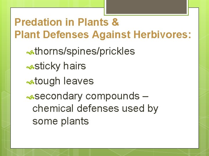 Predation in Plants & Plant Defenses Against Herbivores: thorns/spines/prickles sticky hairs tough leaves secondary