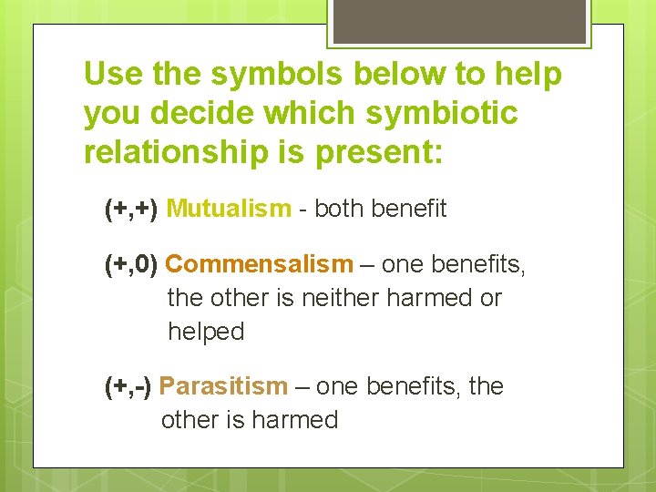 Use the symbols below to help you decide which symbiotic relationship is present: (+,