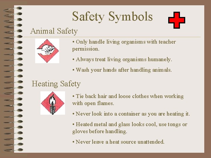 Safety Symbols Animal Safety • Only handle living organisms with teacher permission. • Always
