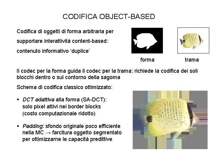 CODIFICA OBJECT-BASED Codifica di oggetti di forma arbitraria per supportare interattività content-based: contenuto informativo