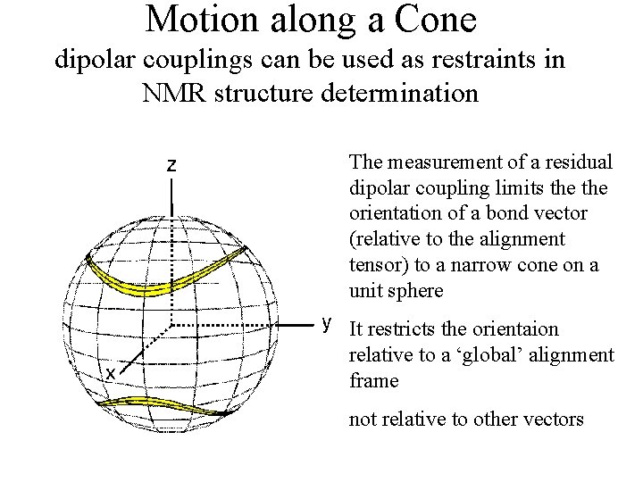 Motion along a Cone dipolar couplings can be used as restraints in NMR structure
