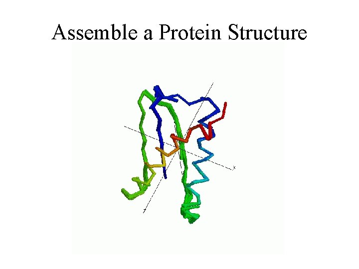 Assemble a Protein Structure 