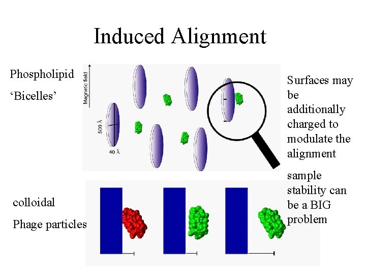 Induced Alignment Phospholipid ‘Bicelles’ - colloidal Phage particles Surfaces may be additionally charged to