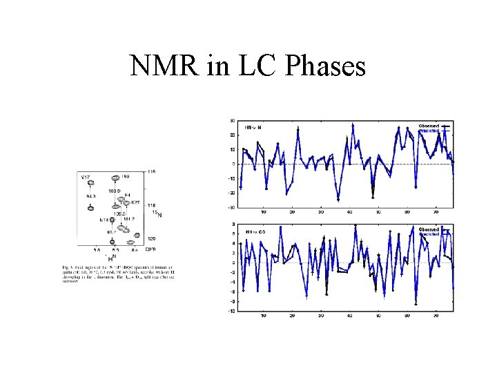 NMR in LC Phases 
