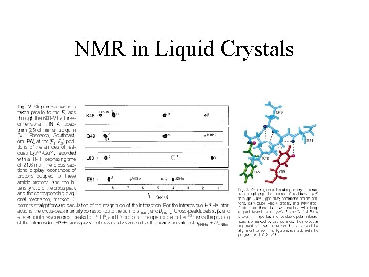 NMR in Liquid Crystals 