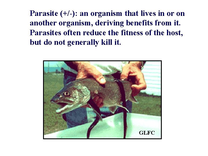 Parasite (+/-): an organism that lives in or on another organism, deriving benefits from