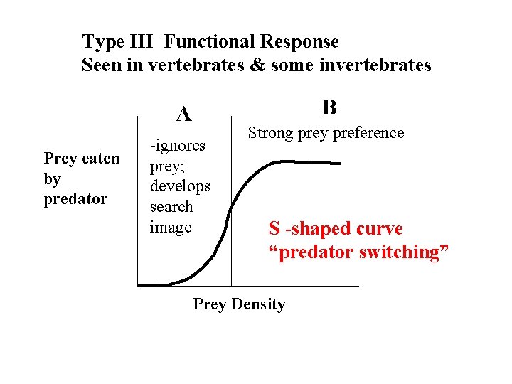 Type III Functional Response Seen in vertebrates & some invertebrates B A Prey eaten