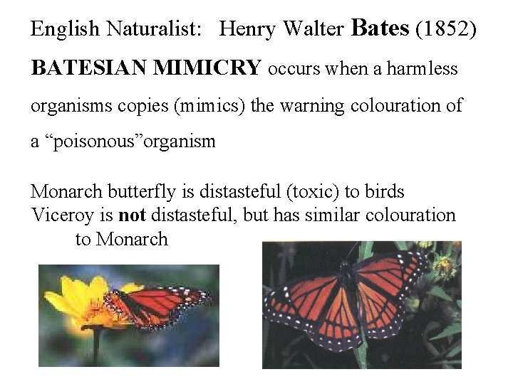 English Naturalist: Henry Walter Bates (1852) BATESIAN MIMICRY occurs when a harmless organisms copies