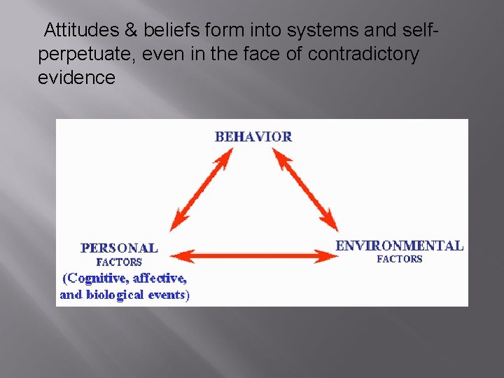  Attitudes & beliefs form into systems and selfperpetuate, even in the face of