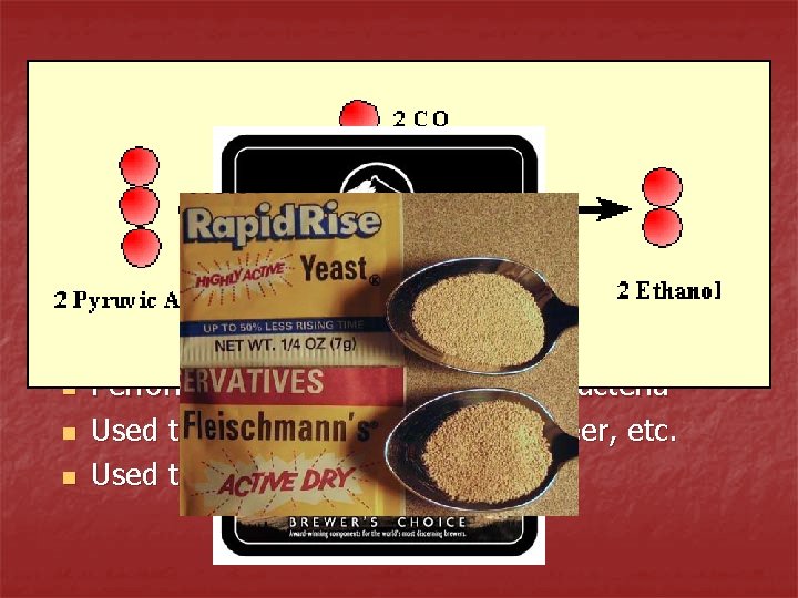 2 Common Types of Fermentation 1. Alcoholic Fermentation – process where pyruvic acid accepts