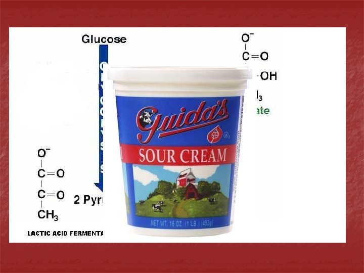 2 Common Types of Fermentation 2. Lactic Acid Fermentation – process where pyruvic acid