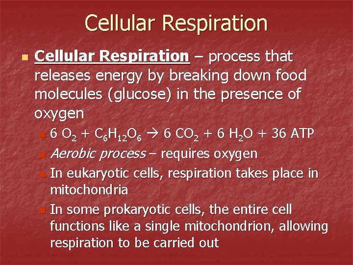 Cellular Respiration n Cellular Respiration – process that releases energy by breaking down food