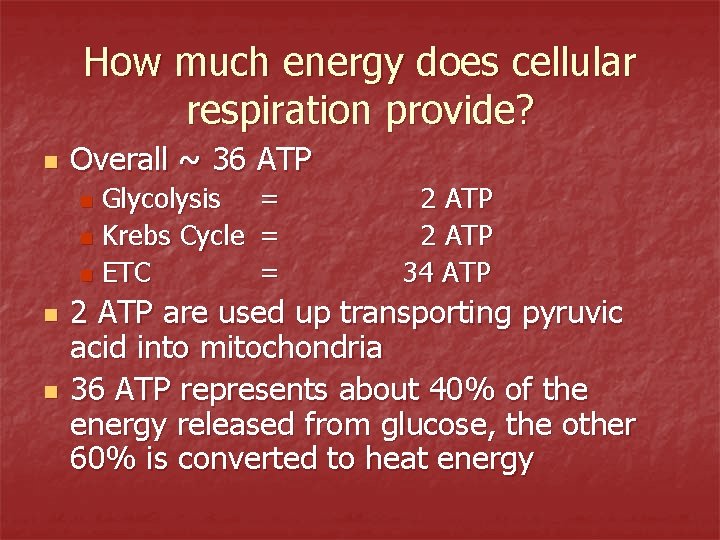 How much energy does cellular respiration provide? n Overall ~ 36 ATP Glycolysis n