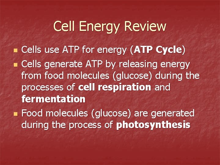 Cell Energy Review n n n Cells use ATP for energy (ATP Cycle) Cells