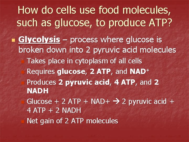 How do cells use food molecules, such as glucose, to produce ATP? n Glycolysis