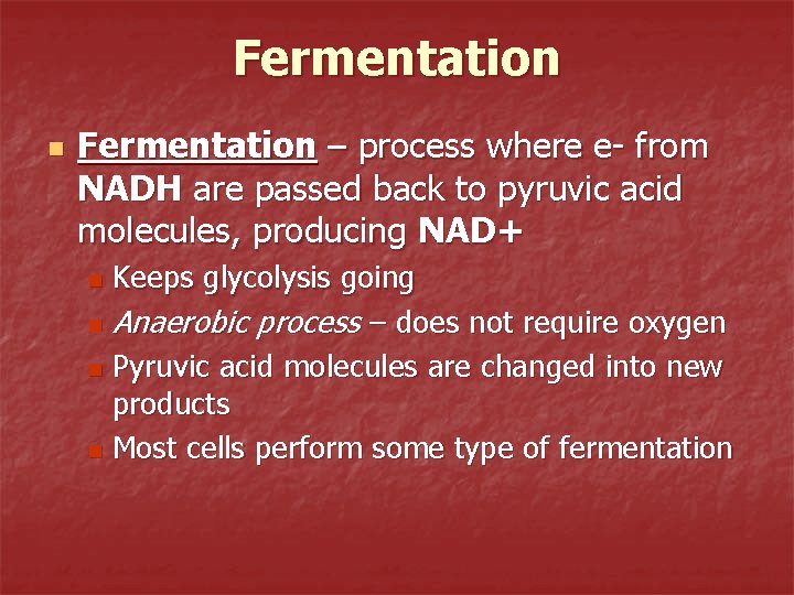 Fermentation n Fermentation – process where e- from NADH are passed back to pyruvic