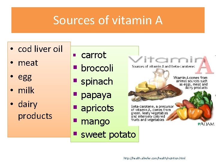 Sources of vitamin A • • • cod liver oil meat egg milk dairy Sources of vitamin A • • • cod liver oil meat egg milk dairy