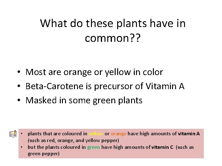 What do these plants have in common? ? • Most are orange or yellow What do these plants have in common? ? • Most are orange or yellow
