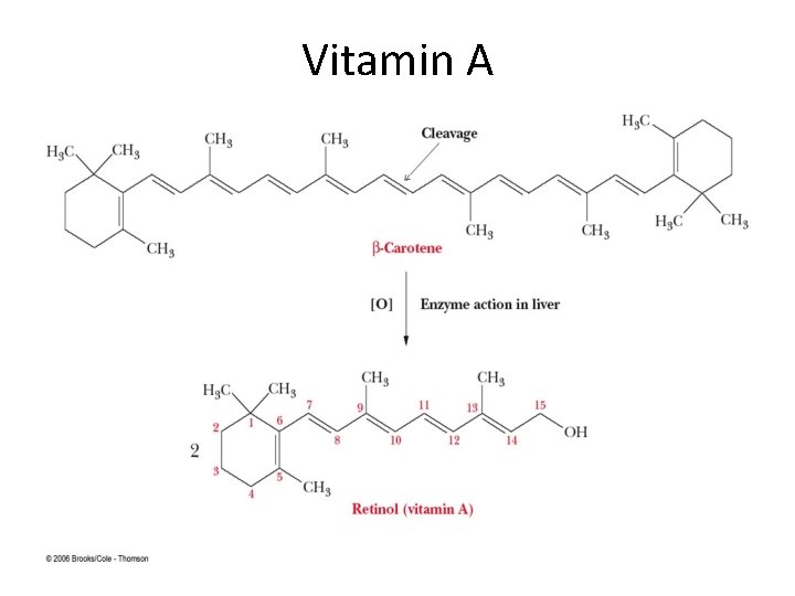 Vitamin A Vitamin A