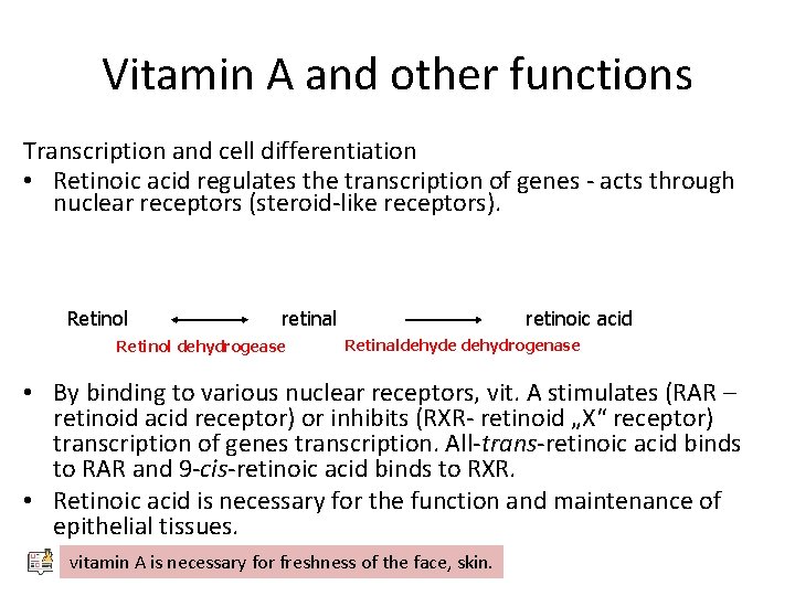 Vitamin A and other functions Transcription and cell differentiation • Retinoic acid regulates the Vitamin A and other functions Transcription and cell differentiation • Retinoic acid regulates the