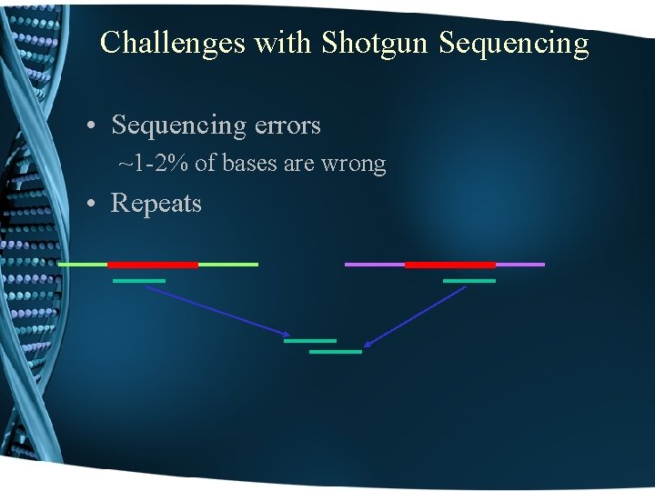 Challenges with Shotgun Sequencing • Sequencing errors ~1 -2% of bases are wrong •