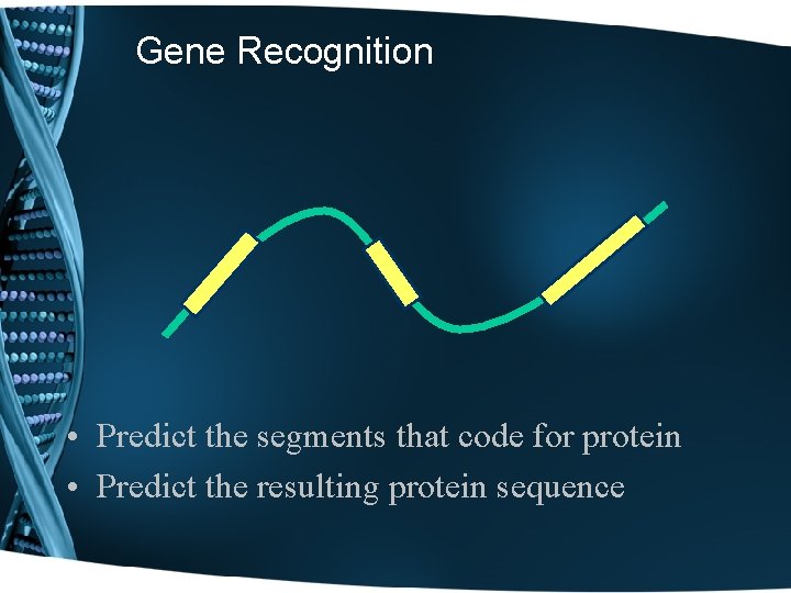 Gene Recognition • Predict the segments that code for protein • Predict the resulting