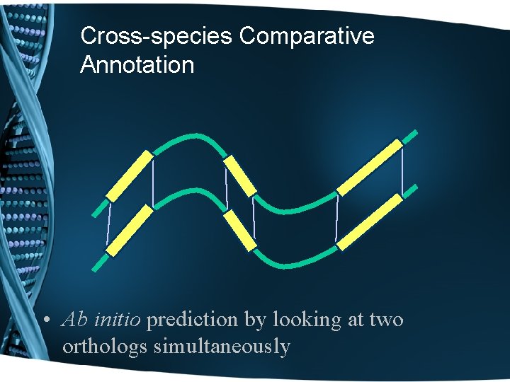 Cross-species Comparative Annotation • Ab initio prediction by looking at two orthologs simultaneously 