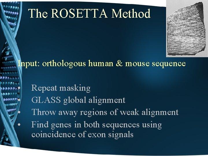 The ROSETTA Method Input: orthologous human & mouse sequence • • Repeat masking GLASS