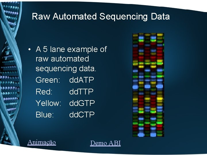 Raw Automated Sequencing Data • A 5 lane example of raw automated sequencing data.