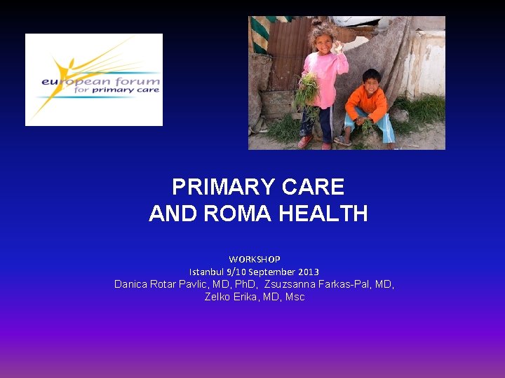 PRIMARY CARE AND ROMA HEALTH WORKSHOP Istanbul 9/10 September 2013 Danica Rotar Pavlic, MD,